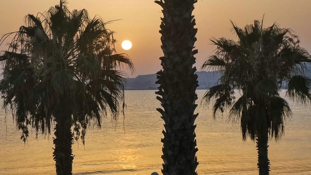 35C81CD6-677C-4265-B6D6-139592106228