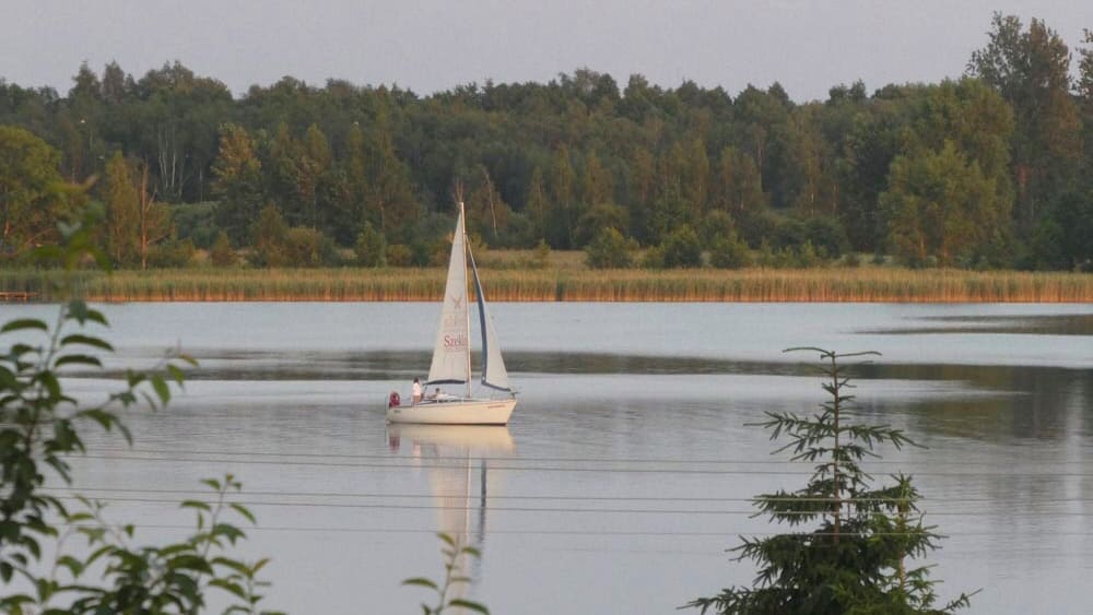 28C1B181-3765-4DD9-8ECE-2A013D621B22