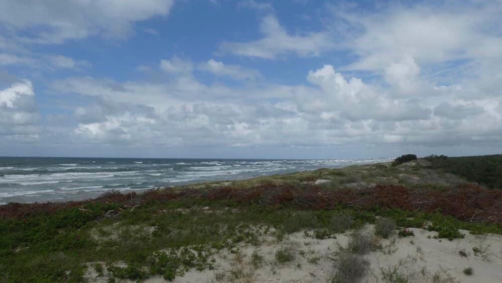 50322772-C735-49D1-8CA2-57CCAFBBF802