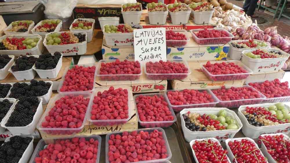 5E862D33-89EA-45F1-A86F-28E97490174D