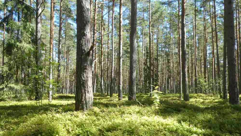 AC91E172-473A-45F9-AC1B-2D1B144EA798