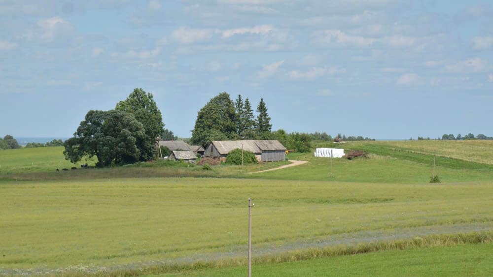 C0A5ECF0-B56D-4F8C-8638-B2600485C492