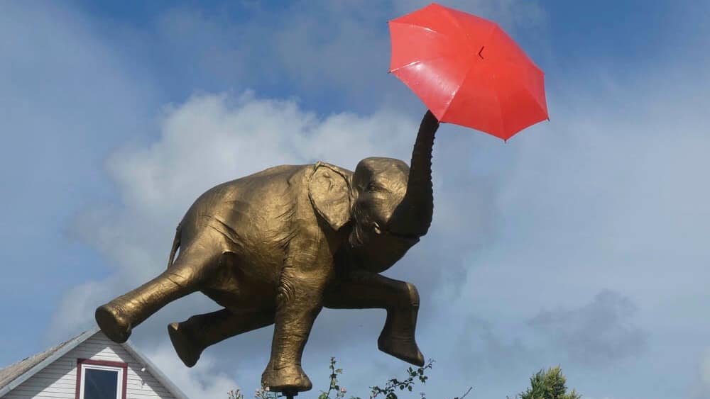 C849BD4C-137A-4D25-AF3C-8FAFD4C0DF3F