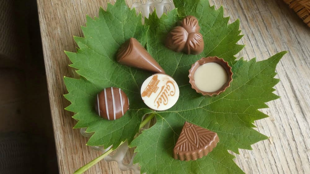 202A004C-45E7-4E26-A767-1D2766F6FEEC