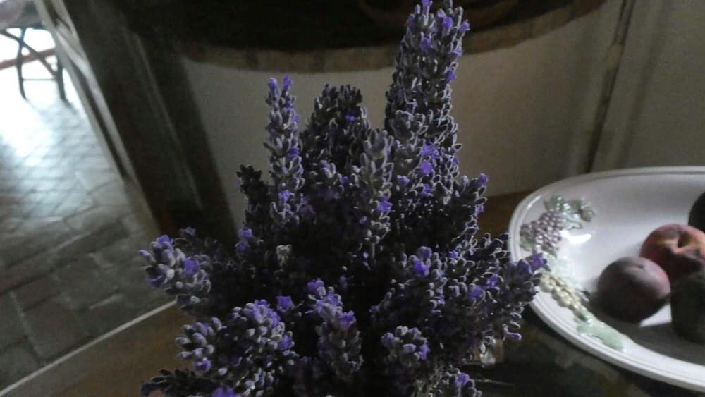 65C79140-F393-4433-8DBA-D5AC23AAAD2E