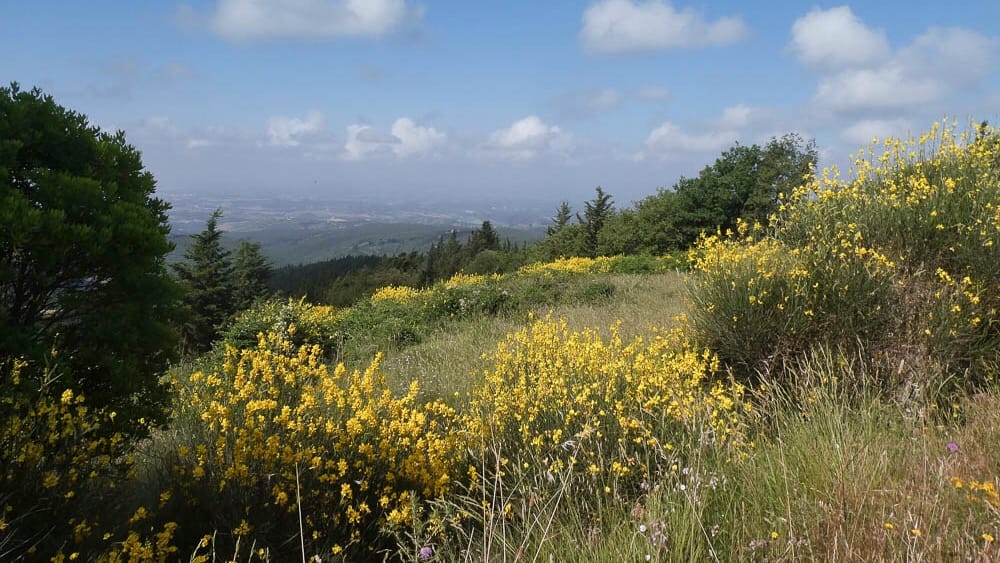 A8F568A8-1064-4CB4-93EA-3DB11EB54175